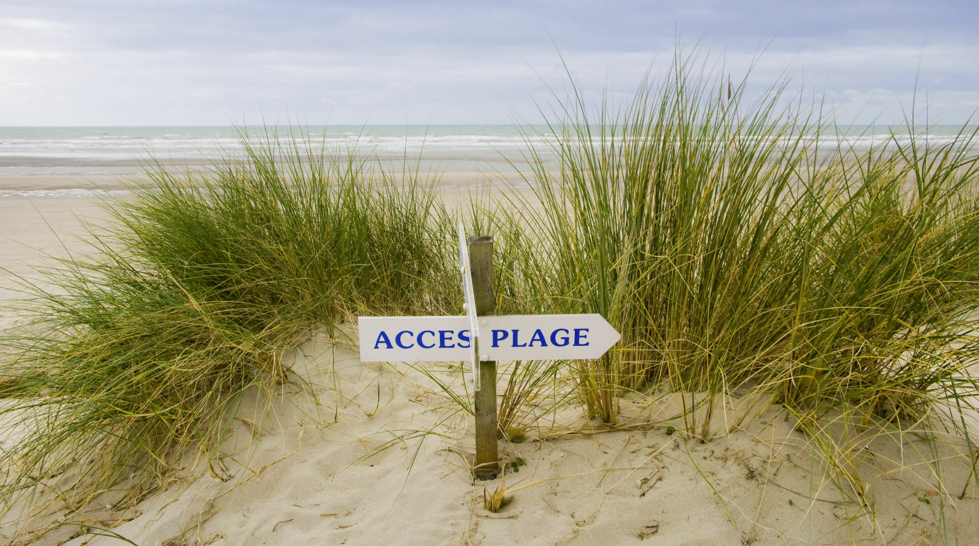 Novotel Thalassa Le Touquet Bagian luar foto